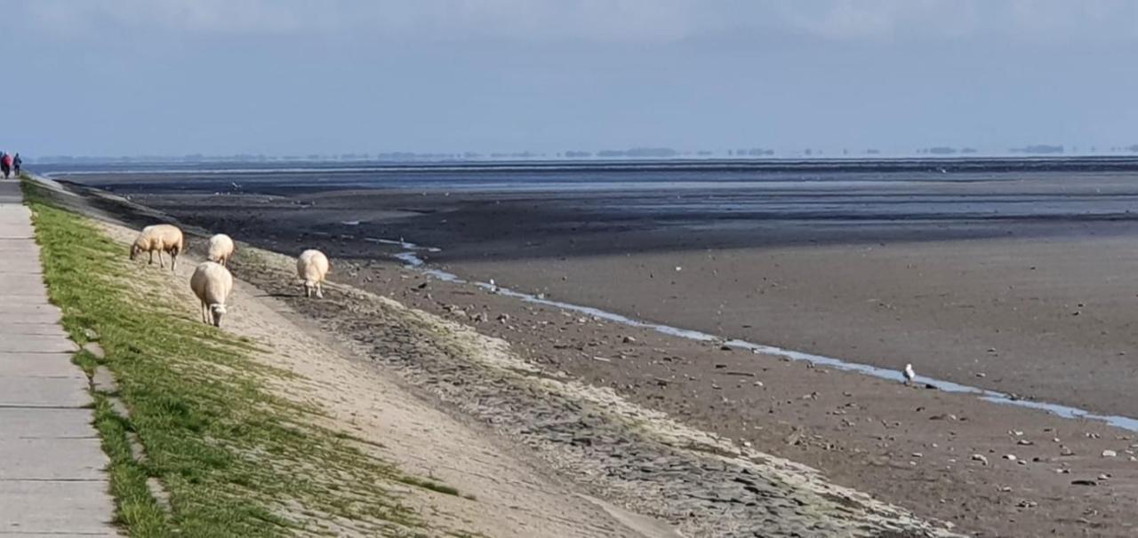 Fewo Mit Meerblick - Direktzugang Zur Nordsee Διαμέρισμα Βίλχελμσχαφεν Εξωτερικό φωτογραφία